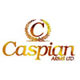 Caspian Arms Airsoft Guns