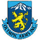 Olympic Arms Airsoft Guns